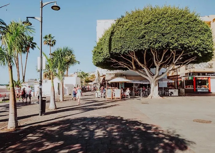 Appartement Bubu 1-a *